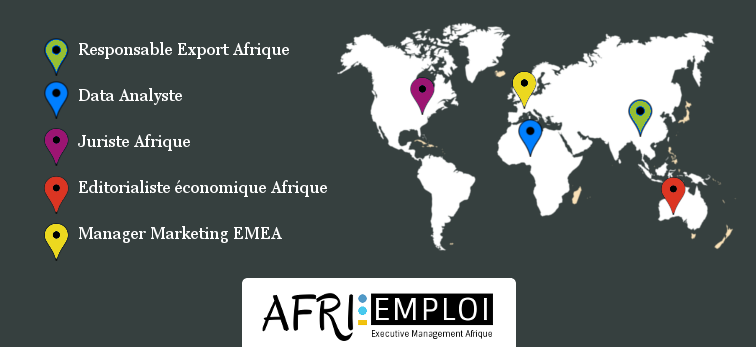 afri-emploi, top management, middle management, afrique